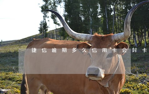 捷信逾期多久信用卡会封卡 捷信逾期多久信用卡会封卡