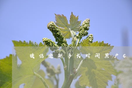 捷信逾期多长时间黑户6 捷信逾期多长时间黑户6
