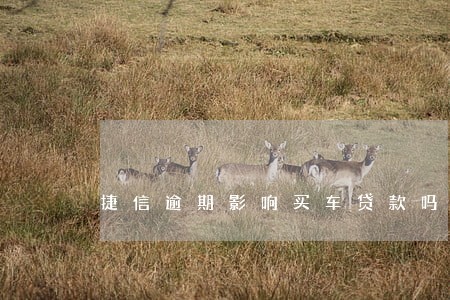 捷信逾期影响买车贷款吗 捷信逾期影响买车贷款吗