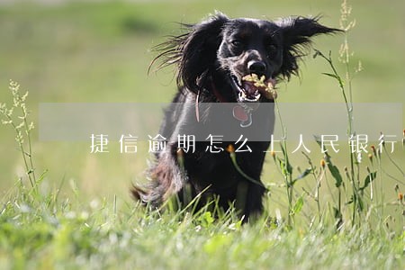 捷信逾期怎么上人民银行了