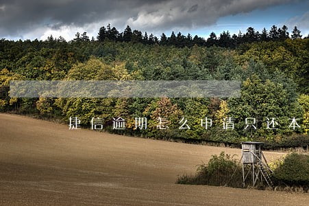 捷信逾期怎么申请只还本金