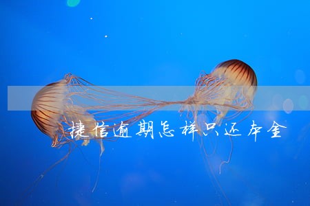 捷信逾期怎样只还本金 捷信逾期怎样只还本金