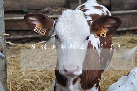 捷信逾期找上门了了9