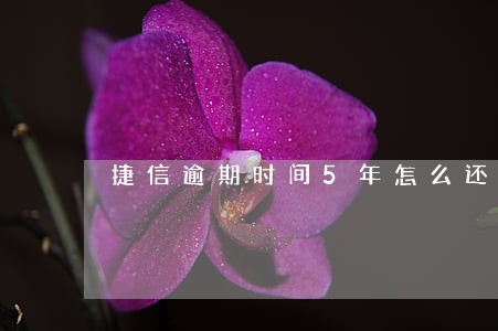 捷信逾期时间5年怎么还款 捷信逾期时间5年怎么还款