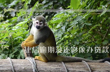 捷信逾期没还影像办贷款吗 捷信逾期没还影像办贷款吗
