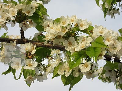 捷信逾期用信用卡有影响吗