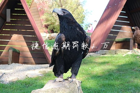 捷信逾期罚款2万 捷信逾期罚款2万