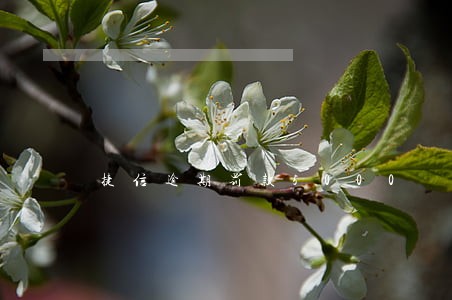 捷信逾期罚款5000 捷信逾期罚款5000