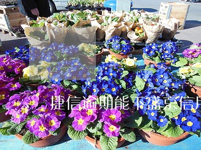 捷信逾期能下盛京信用卡吗