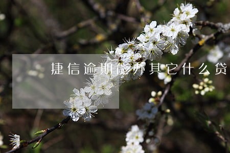 捷信逾期能办其它什么贷款 捷信逾期能办其它什么贷款