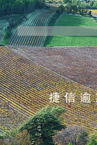 捷信逾期能办理信用卡 捷信逾期能办理信用卡