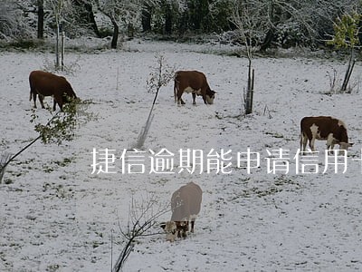 捷信逾期能申请信用卡么 捷信逾期能申请信用卡么