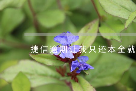 捷信逾期让我只还本金就行了 捷信逾期让我只还本金就行了