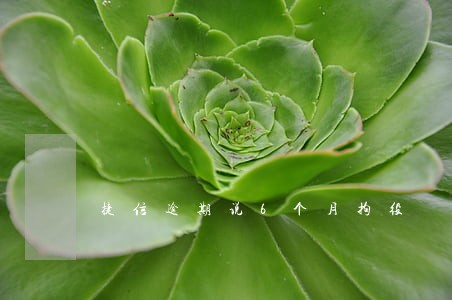 捷信逾期说6个月拘役 捷信逾期说6个月拘役