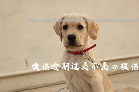 捷信逾期过是不是办理信用卡 捷信逾期过是不是办理信用卡