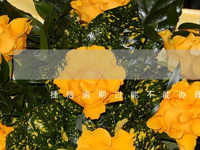 捷信逾期过能不能办理信用卡 捷信逾期过能不能办理信用卡