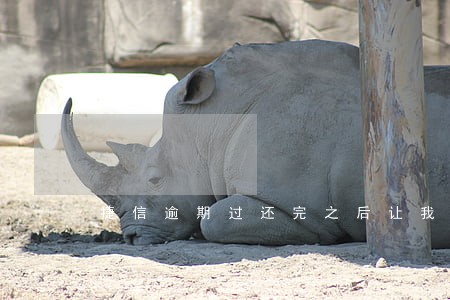 捷信逾期过还完之后让我贷款 捷信逾期过还完之后让我贷款