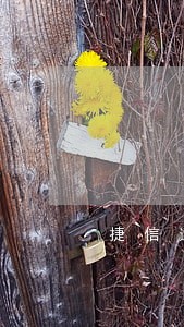 捷信逾期还上以后还能贷款吗 捷信逾期还上以后还能贷款吗
