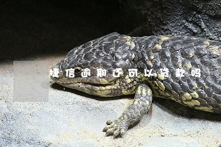 捷信逾期还可以贷款吗 捷信逾期还可以贷款吗