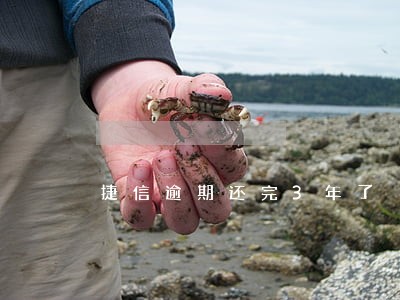 捷信逾期还完3年了 捷信逾期还完3年了