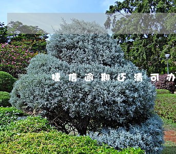 捷信逾期还清可办信用卡吗 捷信逾期还清可办信用卡吗