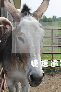 捷信逾期还能贷款买房吗6 捷信逾期还能贷款买房吗6