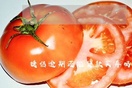 捷信逾期还能贷款买车吗