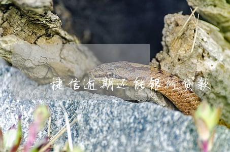 捷信逾期还能银行贷款 捷信逾期还能银行贷款