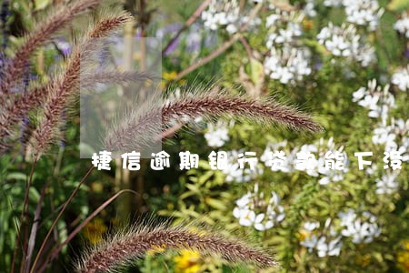 捷信逾期银行贷款能下没 捷信逾期银行贷款能下没