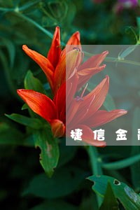 捷信金融5000逾期严重吗 捷信金融5000逾期严重吗