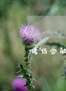 捷信金融欠2千多逾期会怎么样 捷信金融欠2千多逾期会怎么样