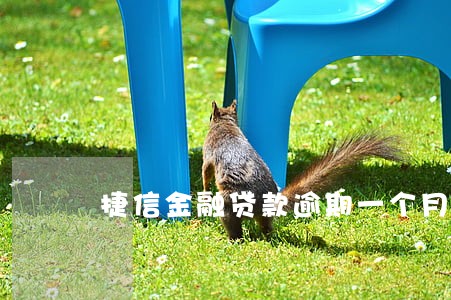 捷信金融贷款逾期一个月 捷信金融贷款逾期一个月
