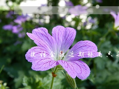捷信金融近期协商只还本金 捷信金融近期协商只还本金