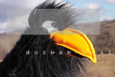 捷信金融逾期10个月怎么办 捷信金融逾期10个月怎么办