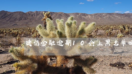 捷信金融逾期10会上黑名单吗 捷信金融逾期10会上黑名单吗