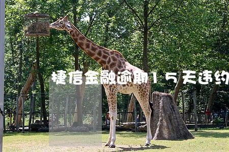 捷信金融逾期15天违约金多少 捷信金融逾期15天违约金多少
