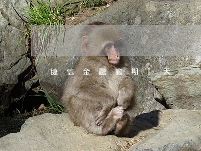 捷信金融逾期1天 捷信金融逾期1天