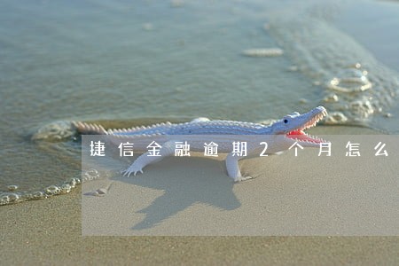 捷信金融逾期2个月怎么办 捷信金融逾期2个月怎么办