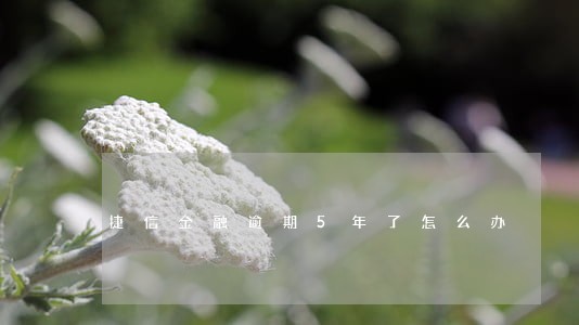 捷信金融逾期5年了怎么办 捷信金融逾期5年了怎么办