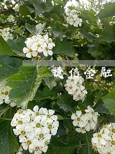 捷信金融逾期了3万 捷信金融逾期了3万