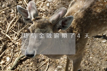 捷信金融逾期了4天 捷信金融逾期了4天