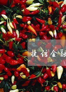 捷信金融逾期信用度 捷信金融逾期信用度