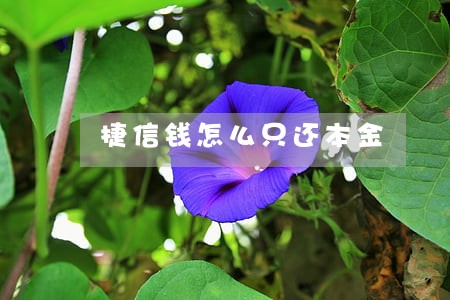 捷信钱怎么只还本金 捷信钱怎么只还本金