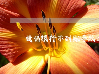 捷信银行不到账导致逾期 捷信银行不到账导致逾期