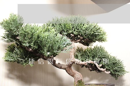 捷信银行信用卡逾期一年 捷信银行信用卡逾期一年
