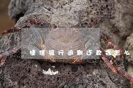 捷信银行逾期还款会怎么样 捷信银行逾期还款会怎么样