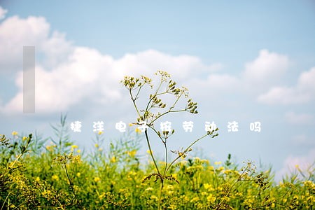 捷洋电子按劳动法吗 捷洋电子按劳动法吗