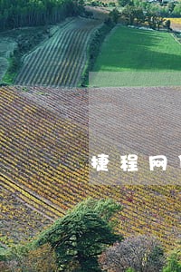 捷程网贷逾期 捷程网贷逾期
