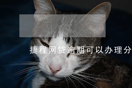 捷程网贷逾期可以办理分期吗 捷程网贷逾期可以办理分期吗
