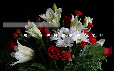 捷讯分期付款逾期6个月 捷讯分期付款逾期6个月